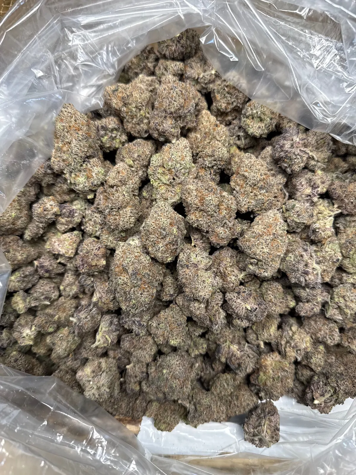 Lizard Burger Packaged Flower